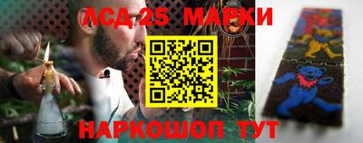 гидра Бердск