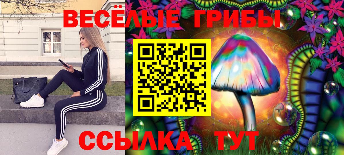 Псилоцибиновые грибы мицелий Кизляр