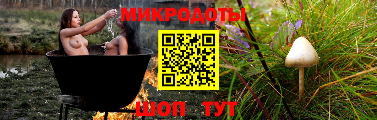 Кизляр  Псилоцибиновые грибы Psilocybe  Вход с VPN 